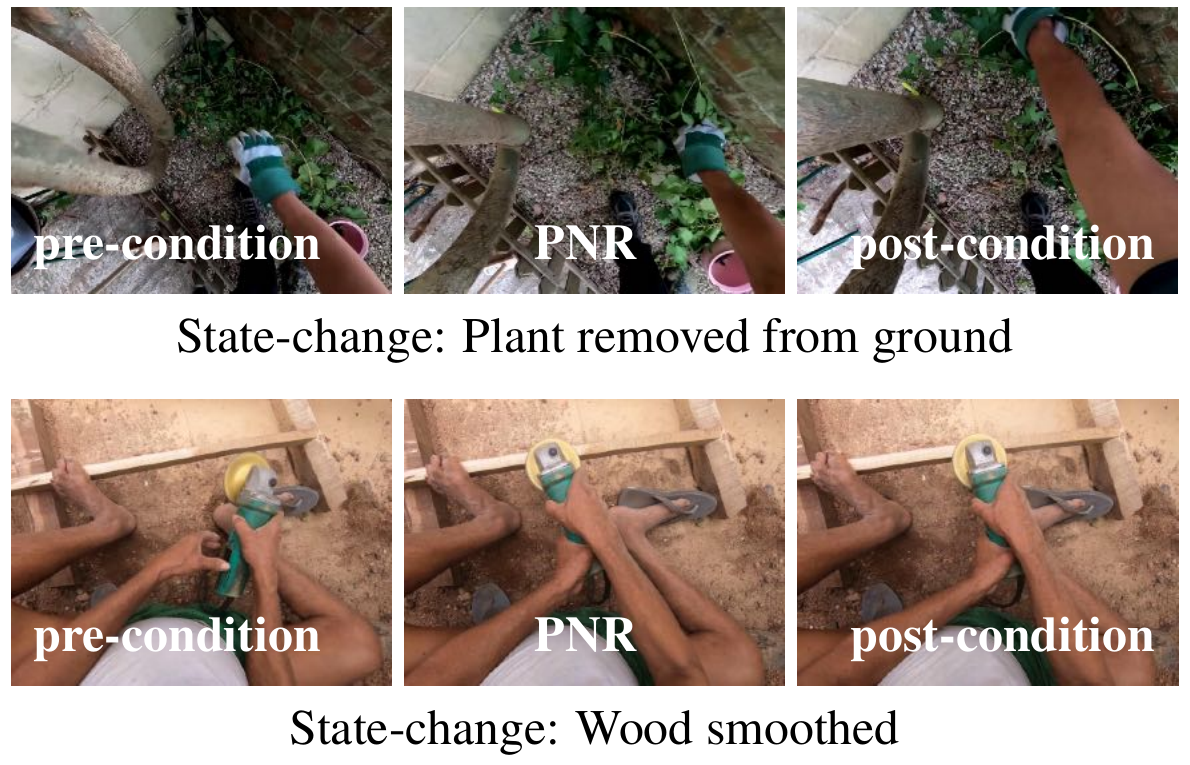 Two rows of pre-condition, PNR and post-condition images depicting a plant removed from the ground and wood being smoothed.