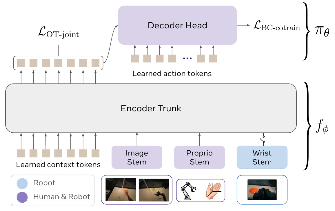 Bottom-to-top policy diagram showing shared image and proprioceptive branches, a robot wrist branch, context tokens, encoder trunk, action tokens and decoder, with separate OT and BC loss labels.