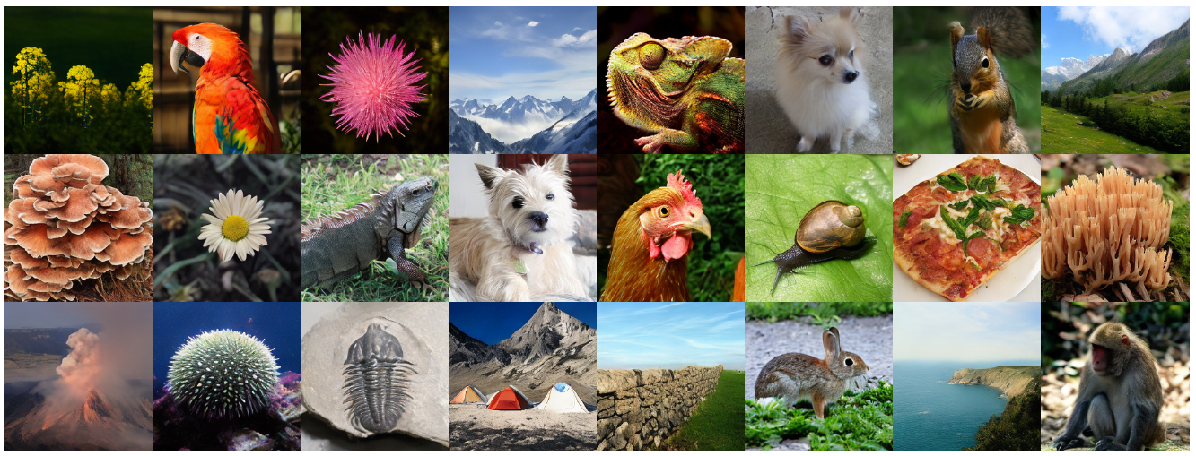 A three-row grid of generated animals, flowers, landscapes, food and other objects, including a parrot, dogs, a snail, mountains and a fossil.