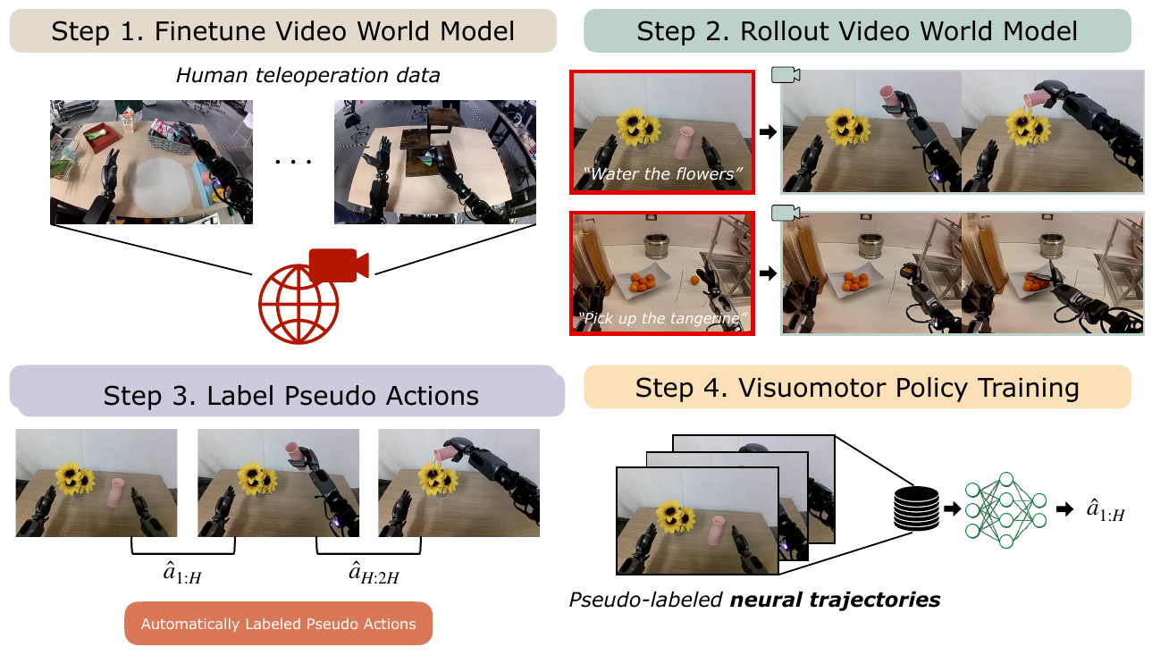 Four numbered panels show teleoperation-based video-model adaptation, image-and-language video generation, pseudo-action labeling, and policy training from the resulting dataset.