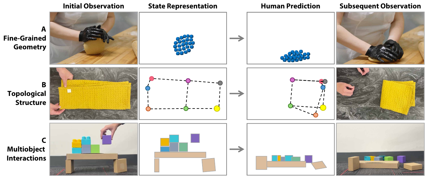 Three rows show dough compression represented by particles, cloth folding represented by colored keypoints, and a falling block arrangement represented by discrete objects. Columns run from initial observation through representation and human prediction to subsequent observation.