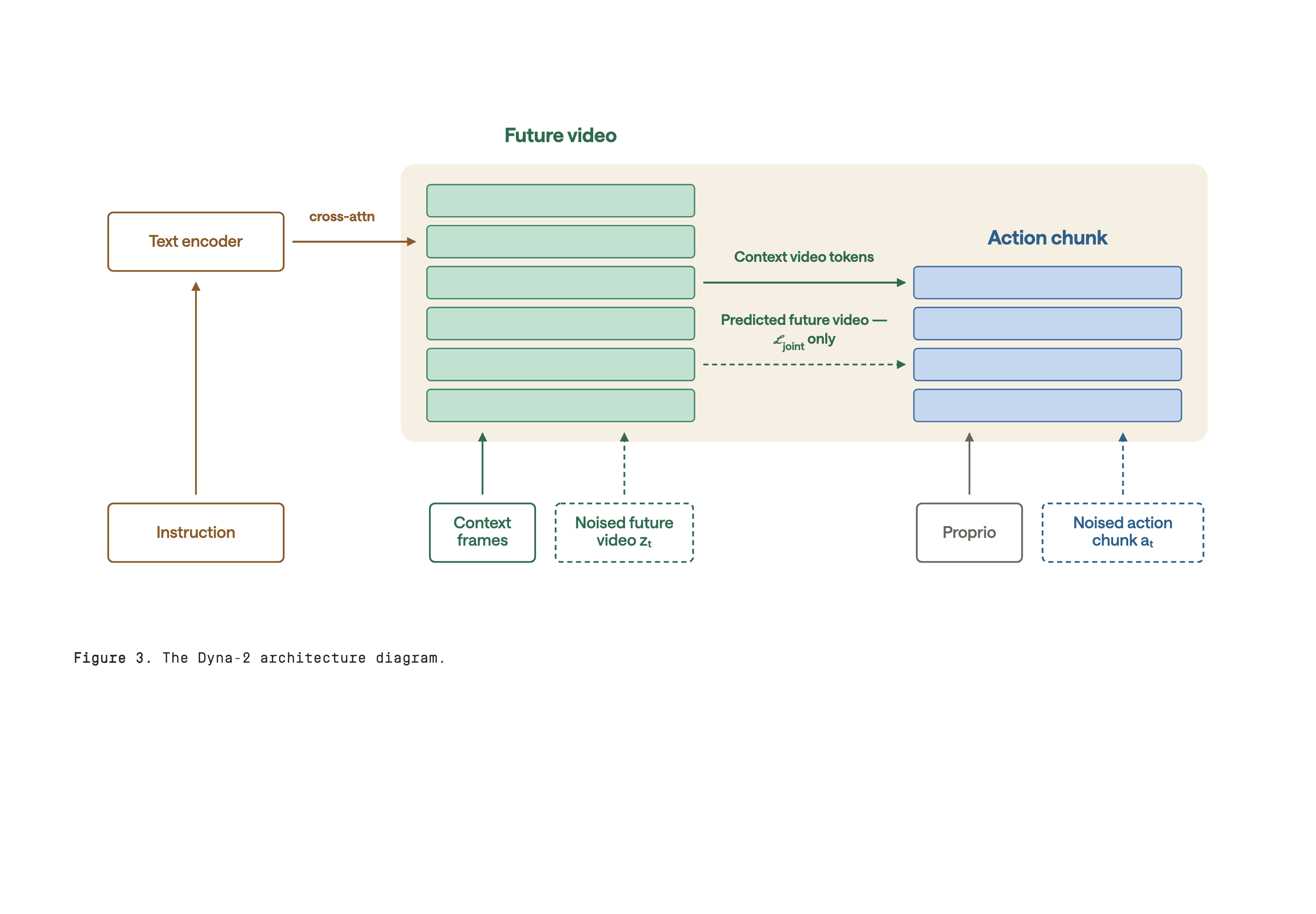 A green video transformer stack receives context frames, noisy future video and text cross-attention. A shallower blue action stack receives proprioception and noisy actions. The solid video-to-action arrow carries observed context; the dashed future-video arrow is labeled L_joint only.